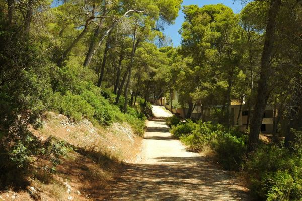pineta a milano marittima