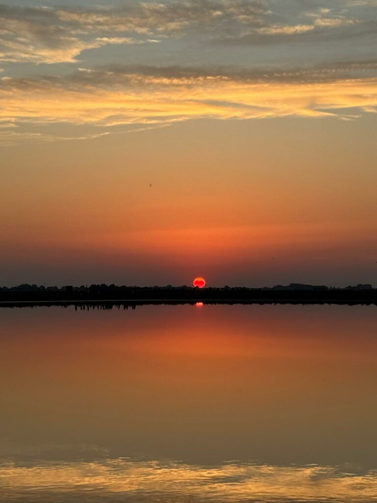 Saline di Cervia