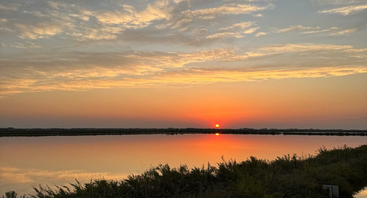 Salina di Cervia