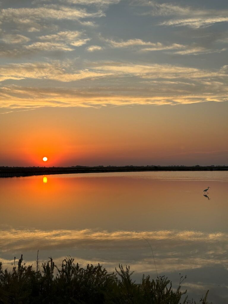 Saline di Cervia