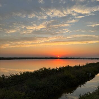 Salina di Cervia
