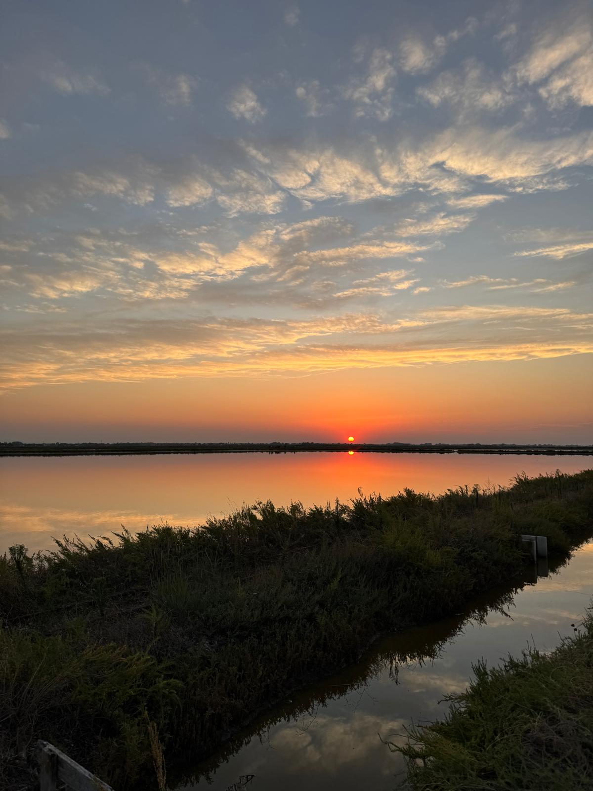 Salina di Cervia