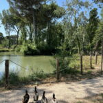 Cosa fare in primavera a Cervia