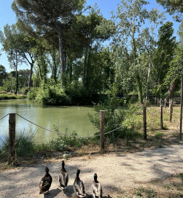 Cosa fare in primavera a Cervia